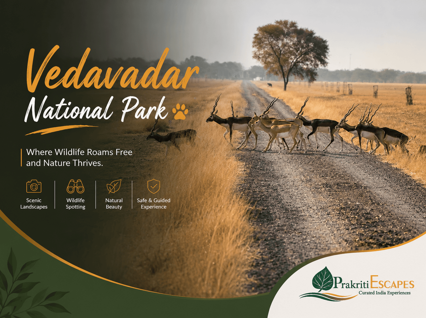 Velavadar National Park — photo 1