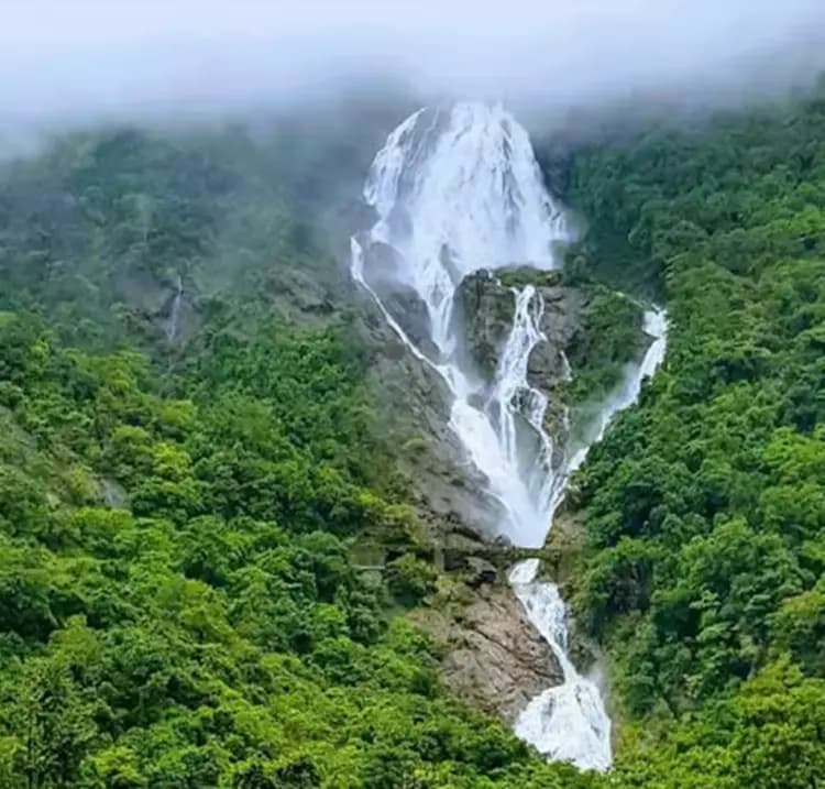 Dudhsagar falls cascading through green forest on the Goa–Karnataka border