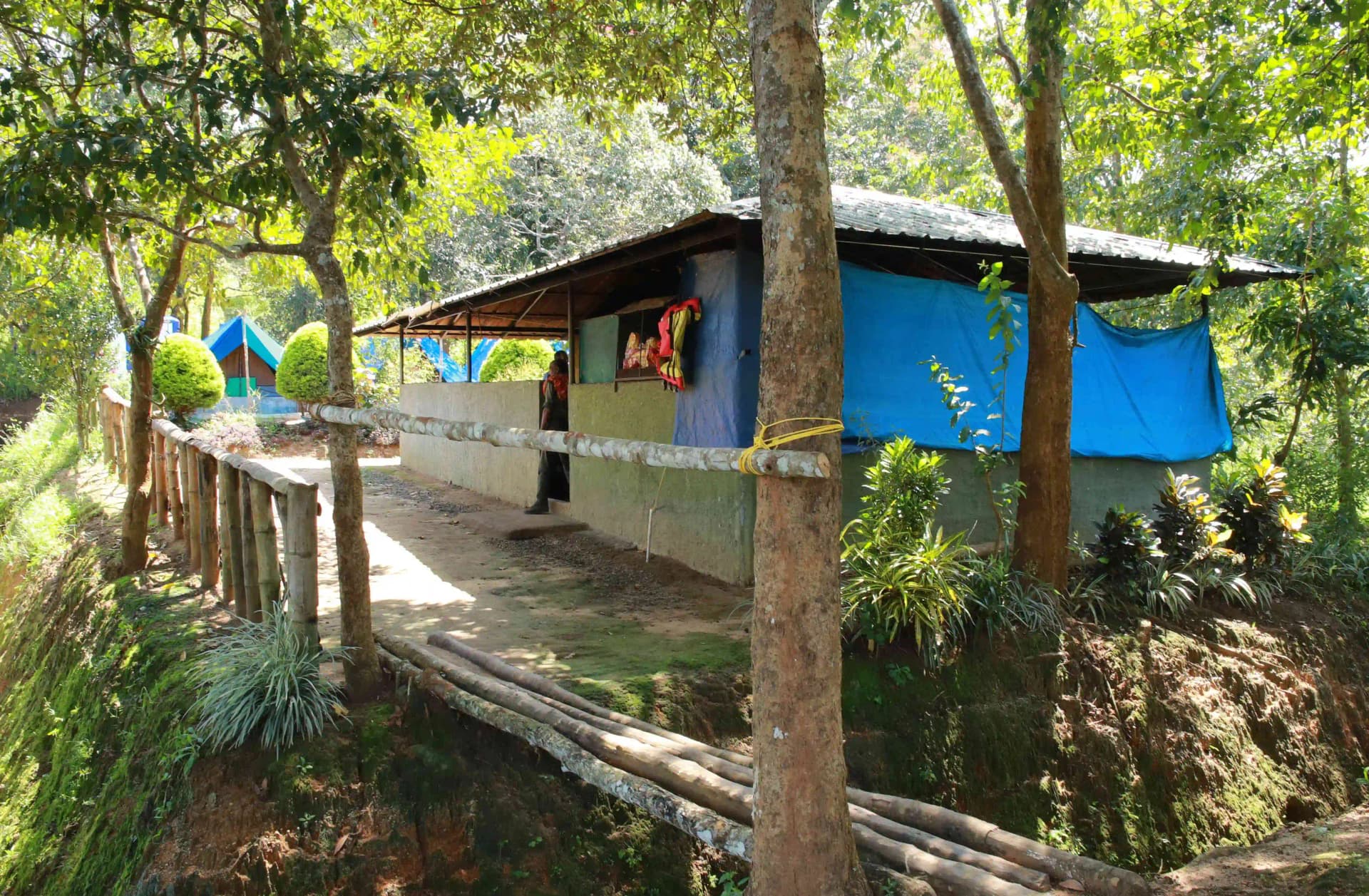 Periyar Tiger Trail – 1 Night — photo 7