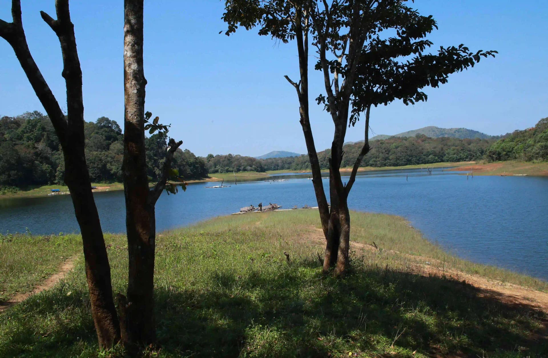Periyar Tiger Trail – 1 Night — photo 5