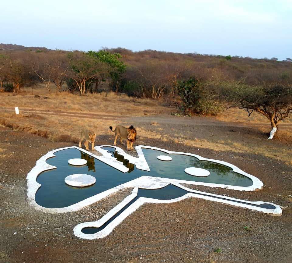 Ambardi Safari Park — photo 1