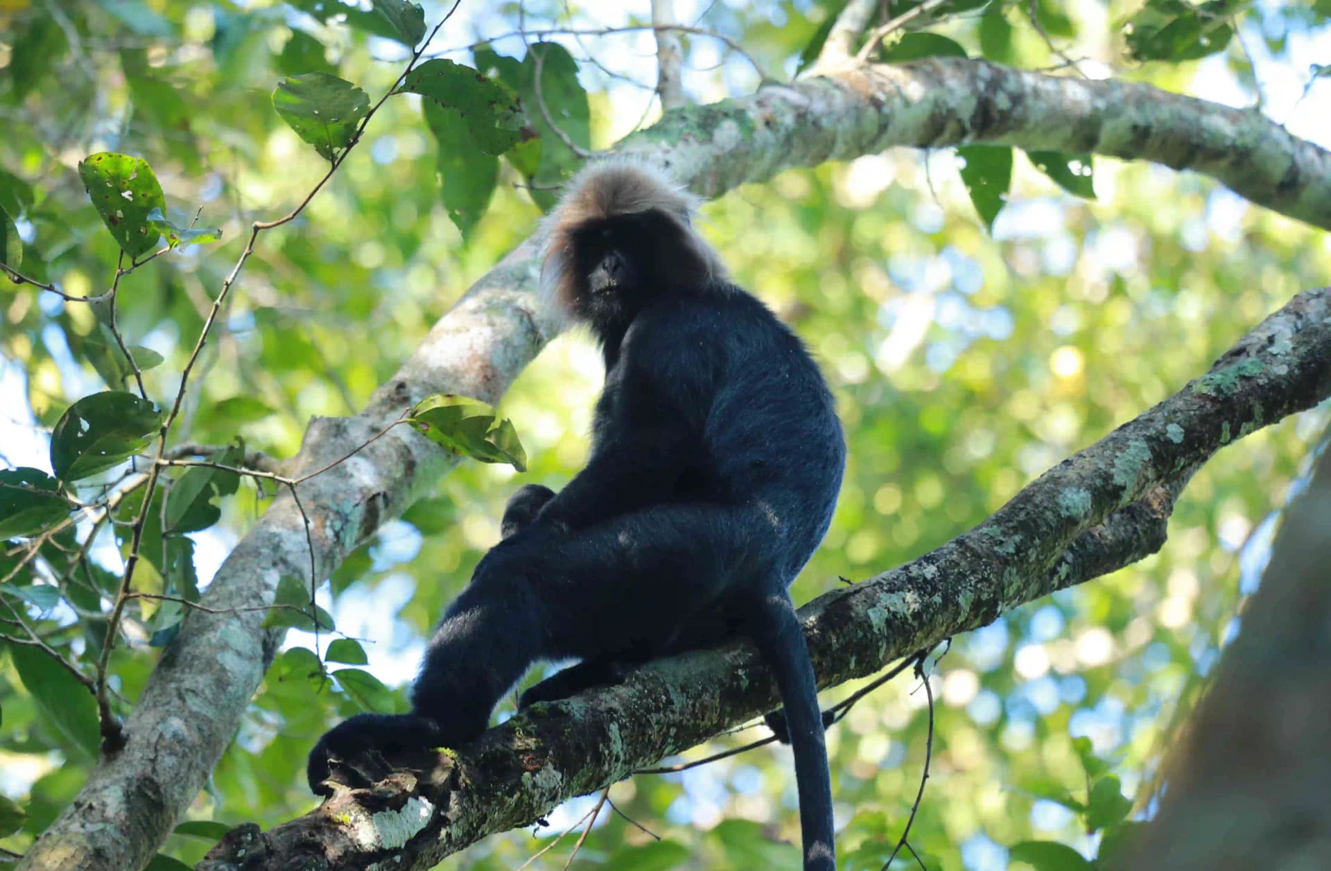 Border Hiking – Thondiyar — photo 5