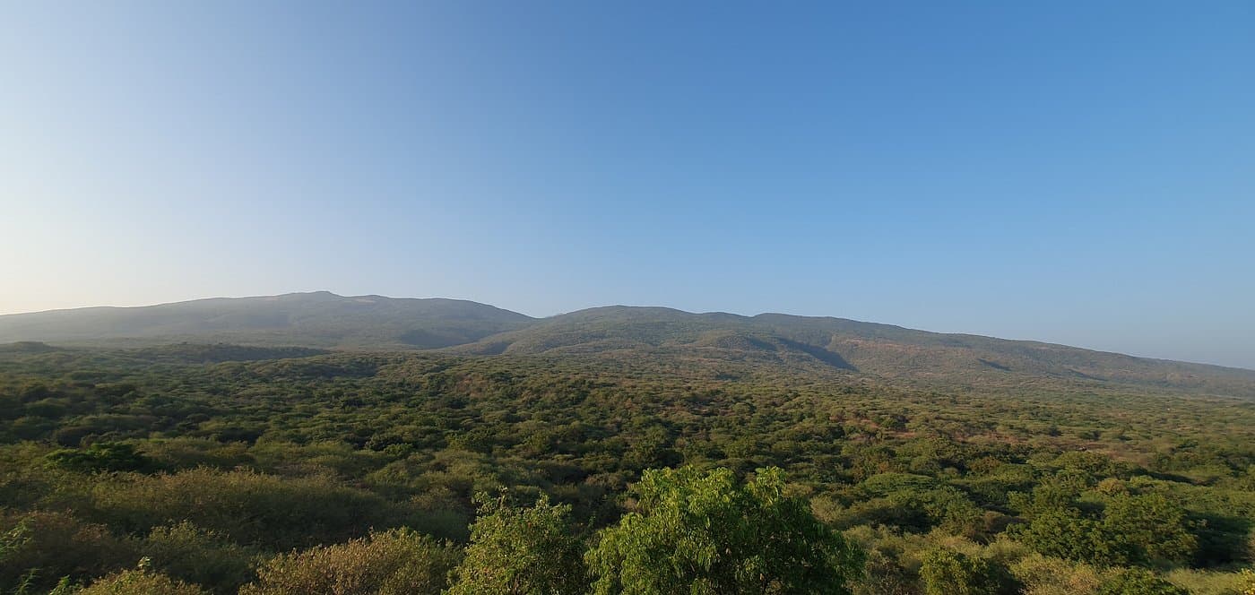 Girnar Nature Safari — photo 7