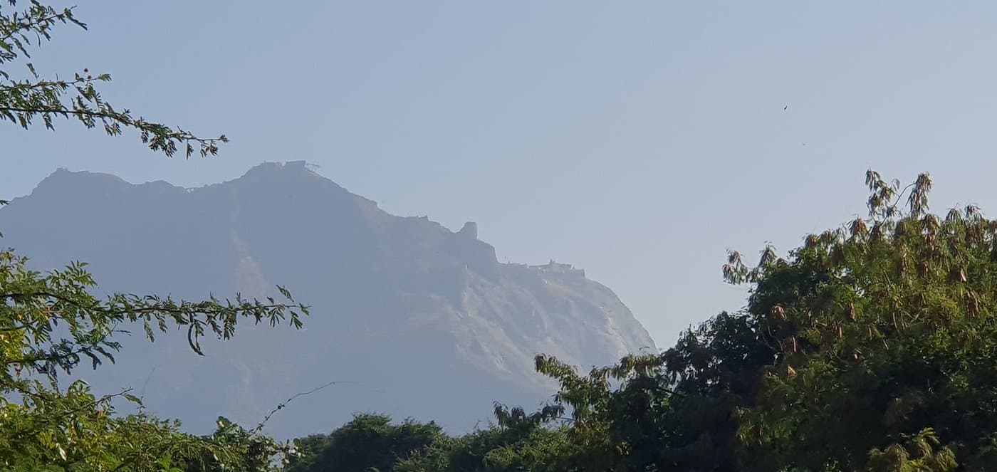 Girnar Nature Safari — photo 9