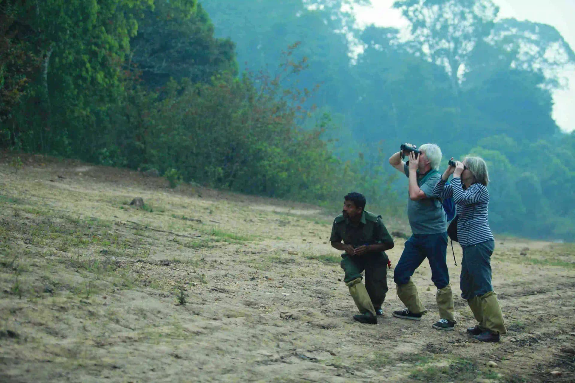 Green Walk – Periyar Tiger Reserve — photo 7