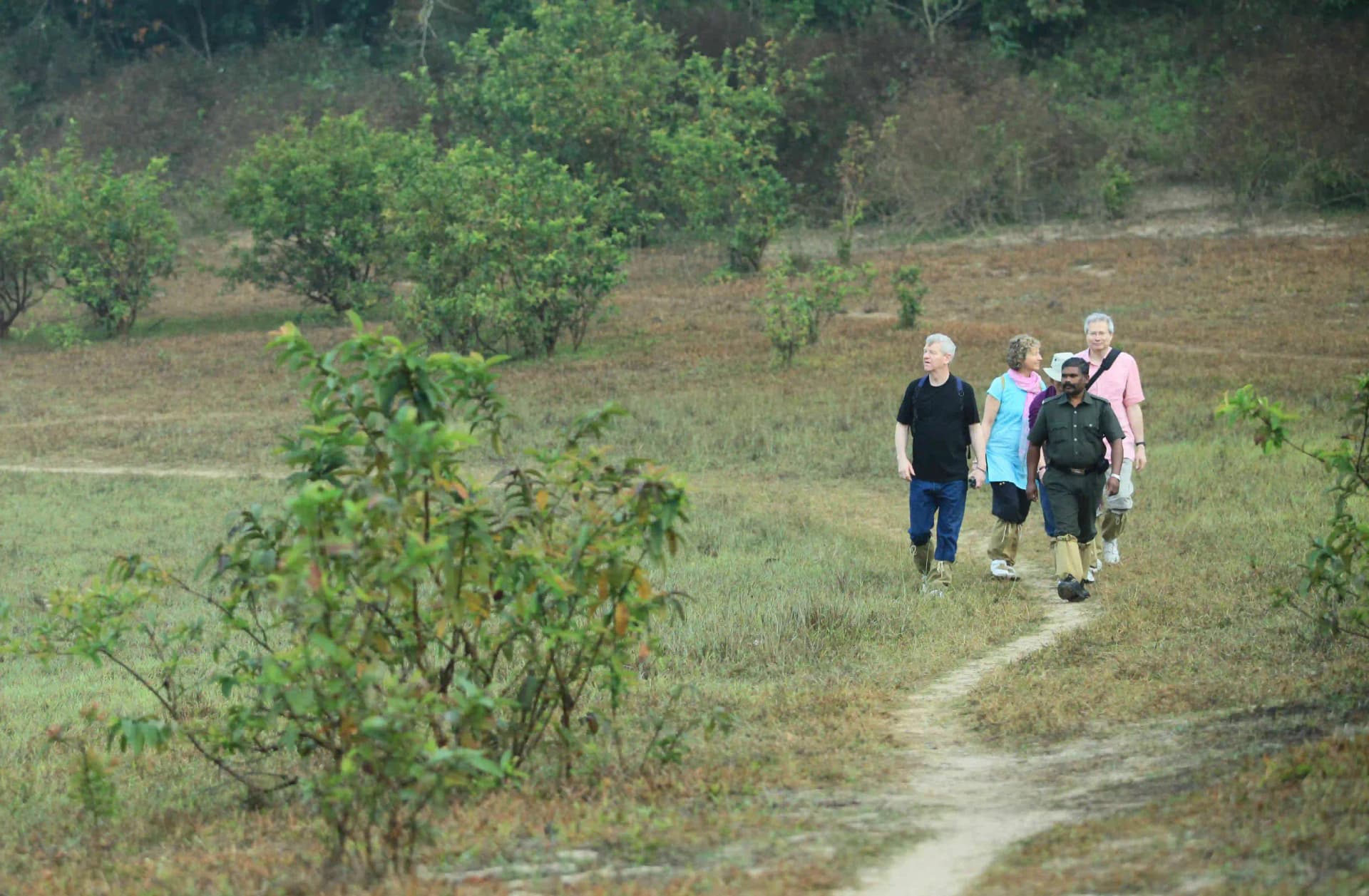 Green Walk – Periyar Tiger Reserve — photo 1