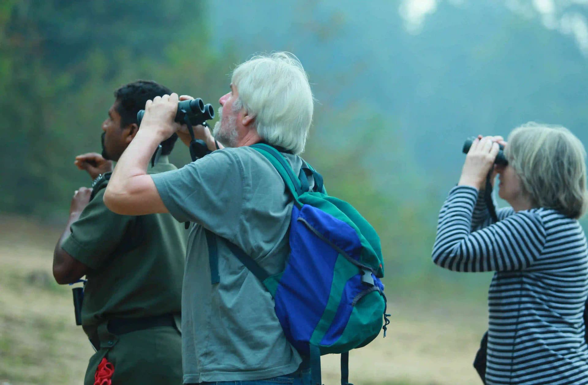 Green Walk – Periyar Tiger Reserve — photo 3