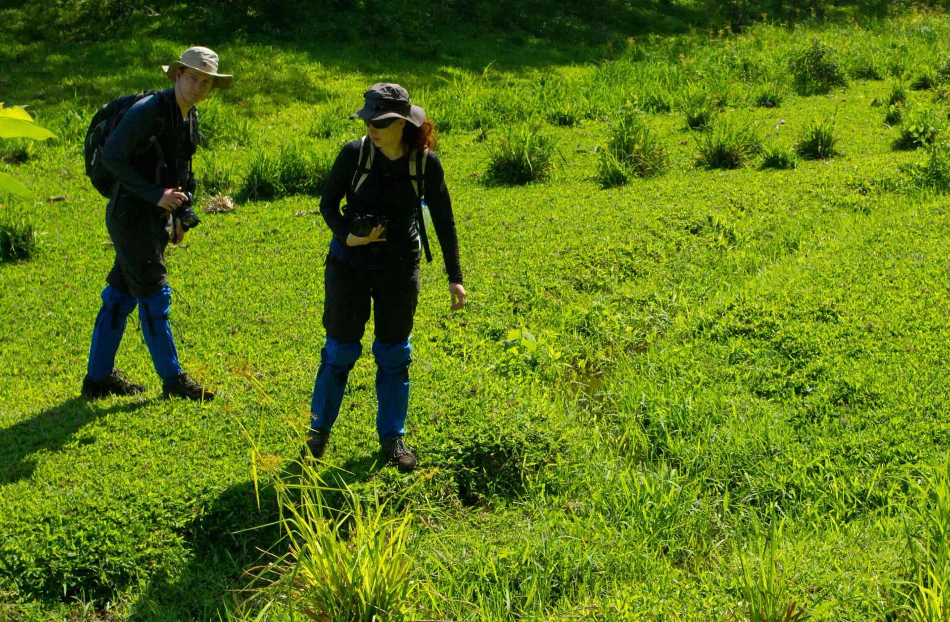 Nature Walk – Periyar Tiger Reserve — photo 4