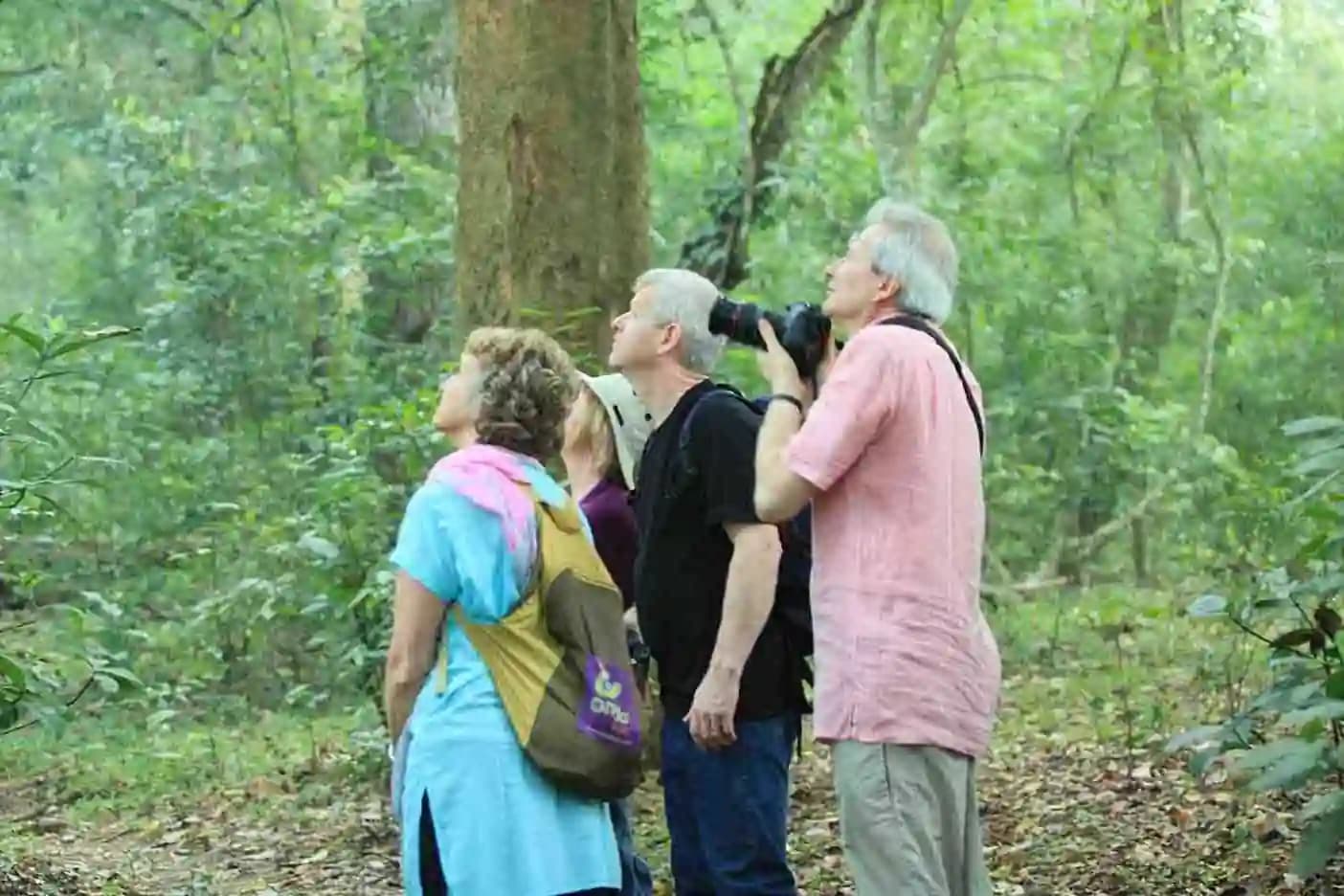 Nature Walk – Periyar Tiger Reserve — photo 8