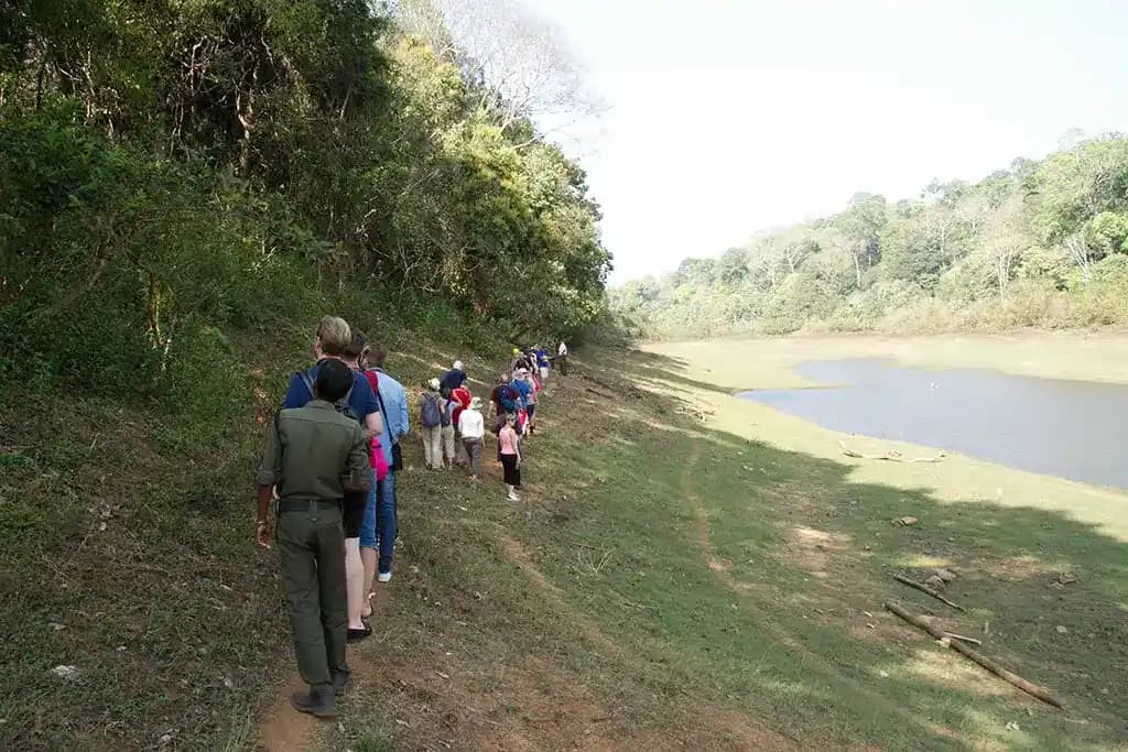 Green Walk – Periyar Tiger Reserve — photo 8