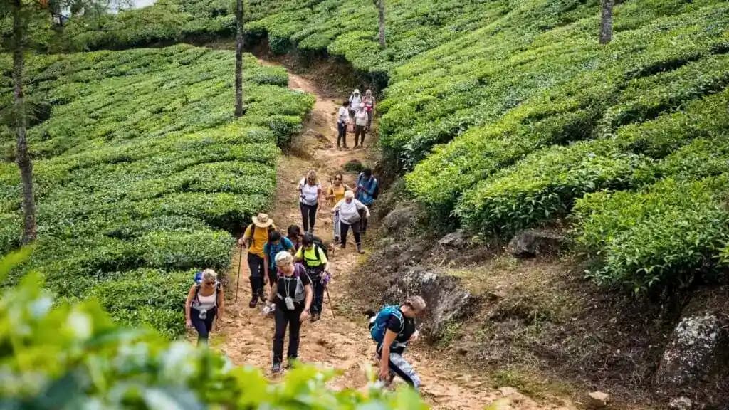 Nature Walk – Periyar Tiger Reserve — photo 9