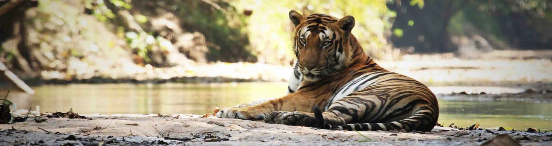Pugmark Trail – Periyar Tiger Reserve, Periyar Tiger Reserve