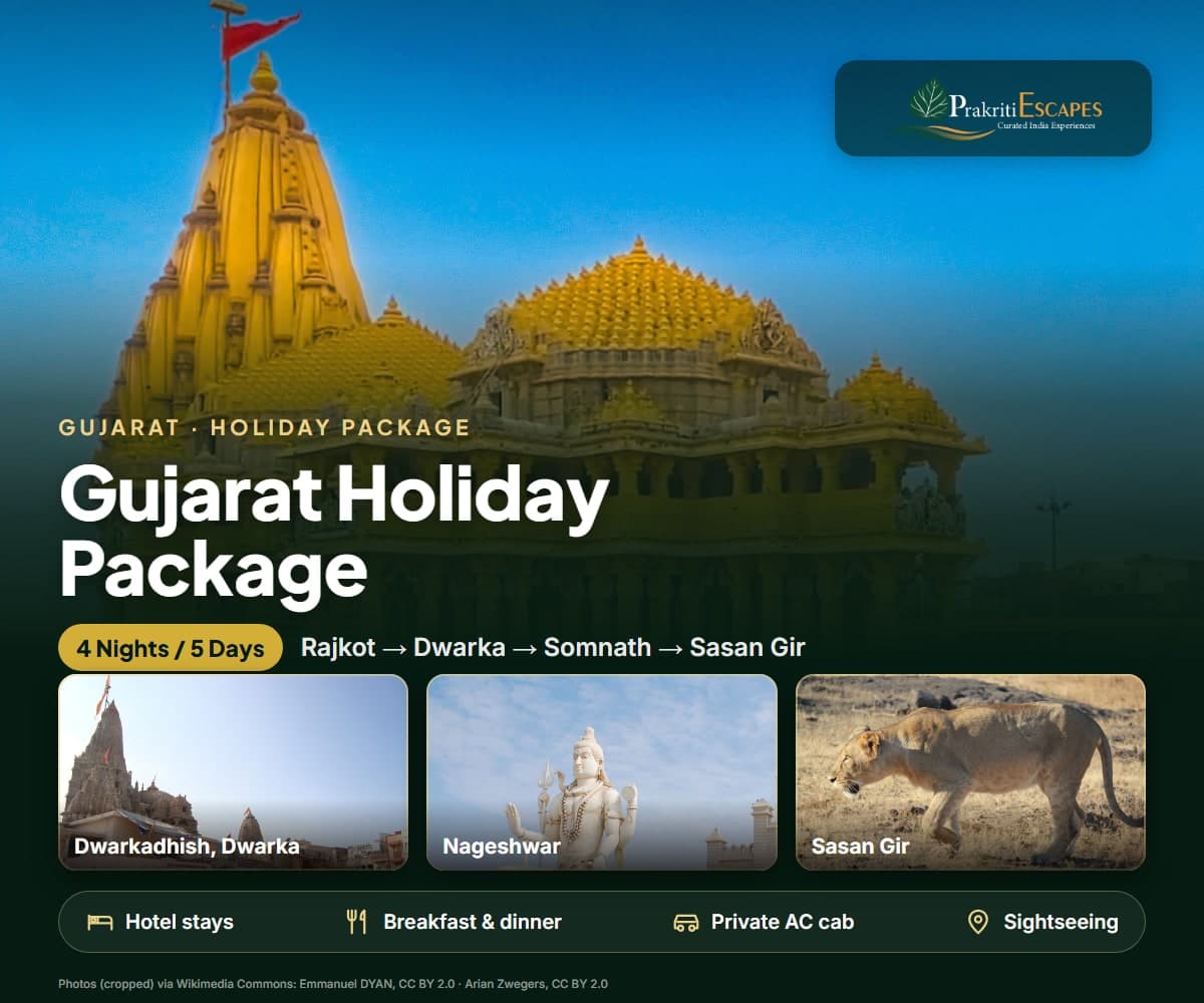 Gujarat 4N/5D Holiday Package tour package