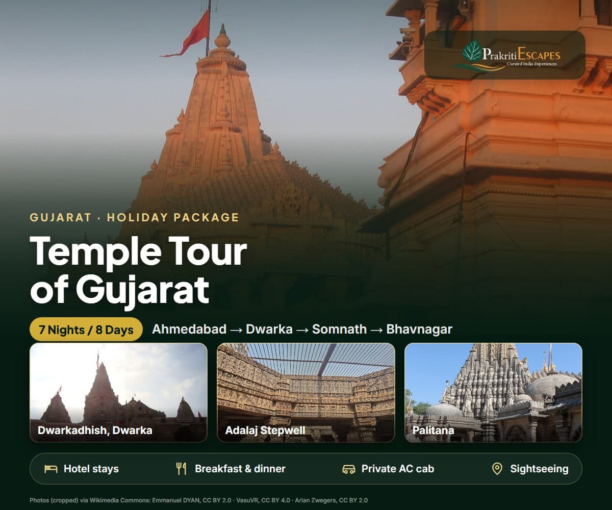 Temple Tour of Gujarat – 7N/8D tour package
