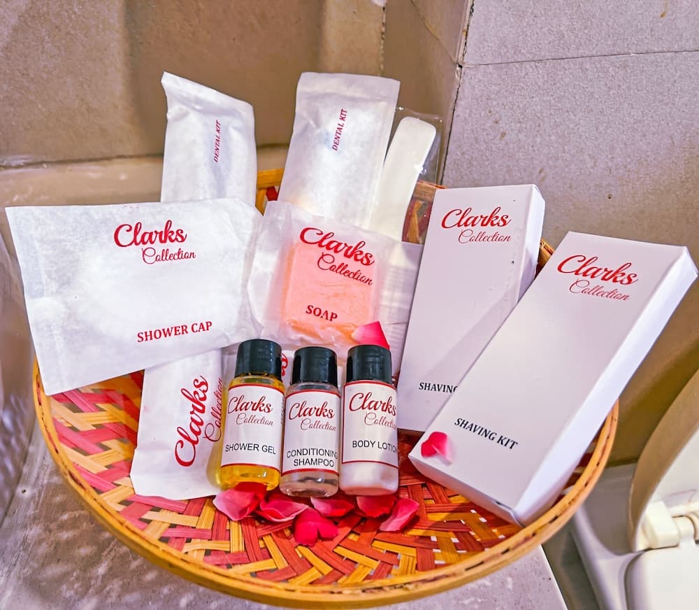 Hotel Clarks Collection Bhavnagar — photo 42