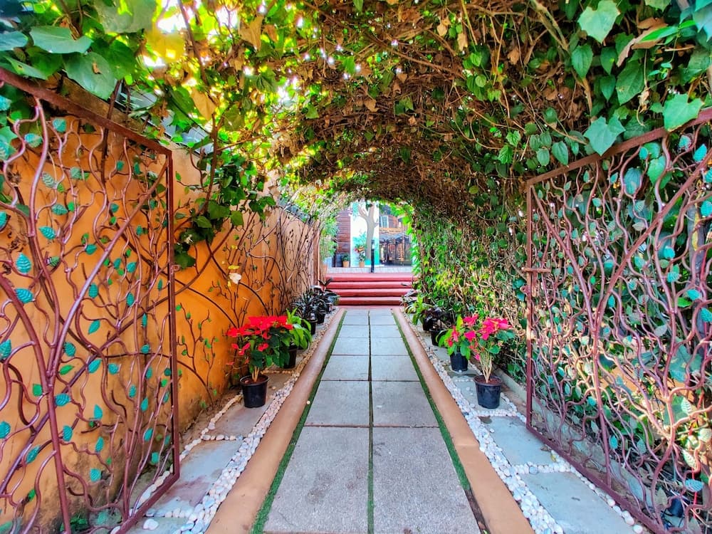 La Vie Woods — photo 2