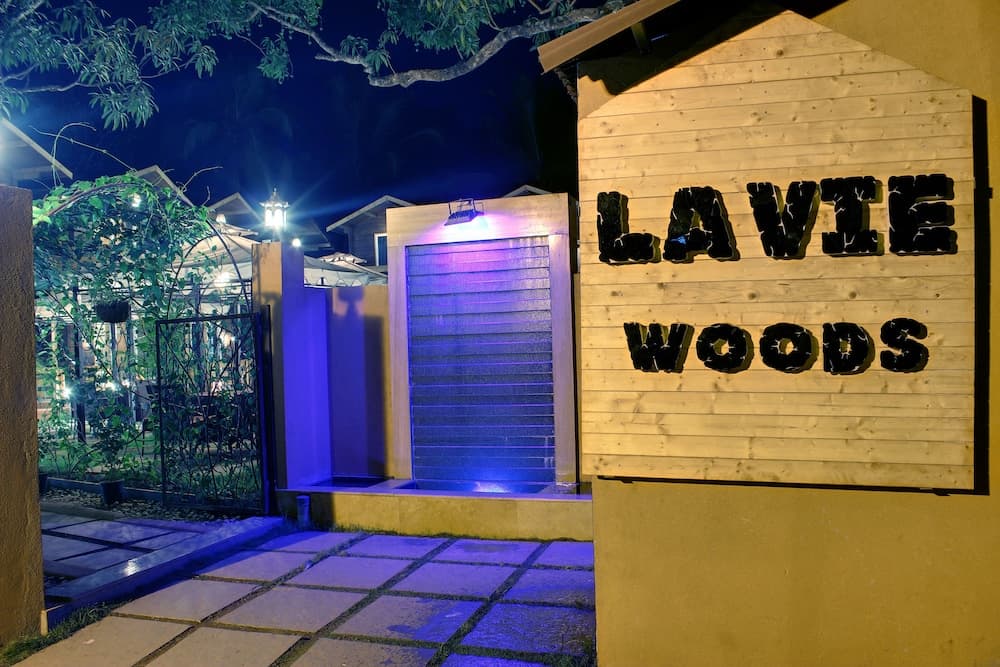 La Vie Woods — photo 33