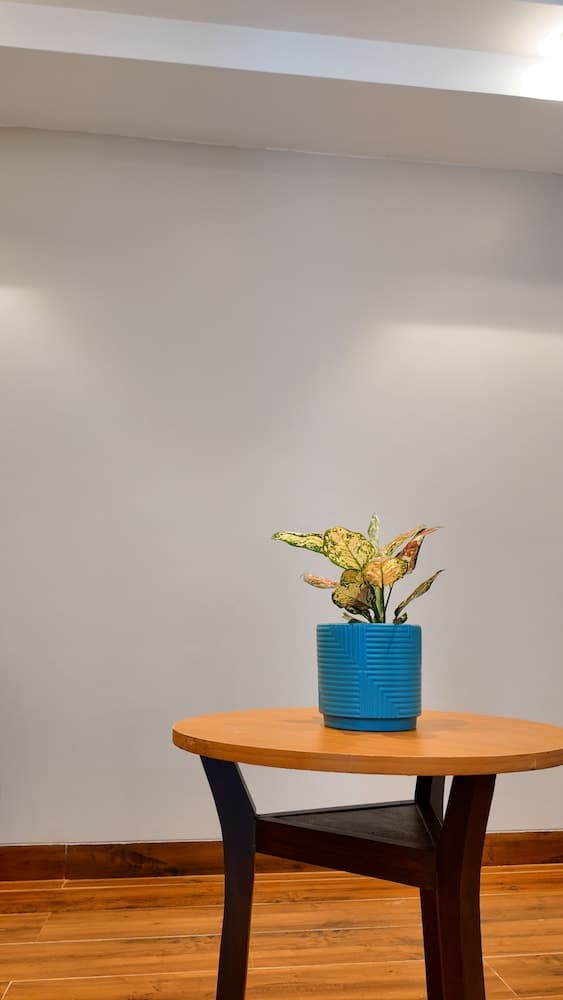 Fortune Select Candolim, Goa - Member ITC Hotels' Group — photo 54