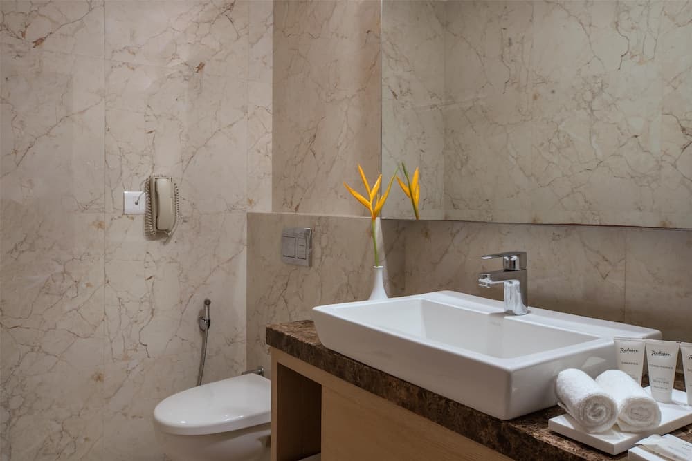 Radisson Goa Candolim — photo 87