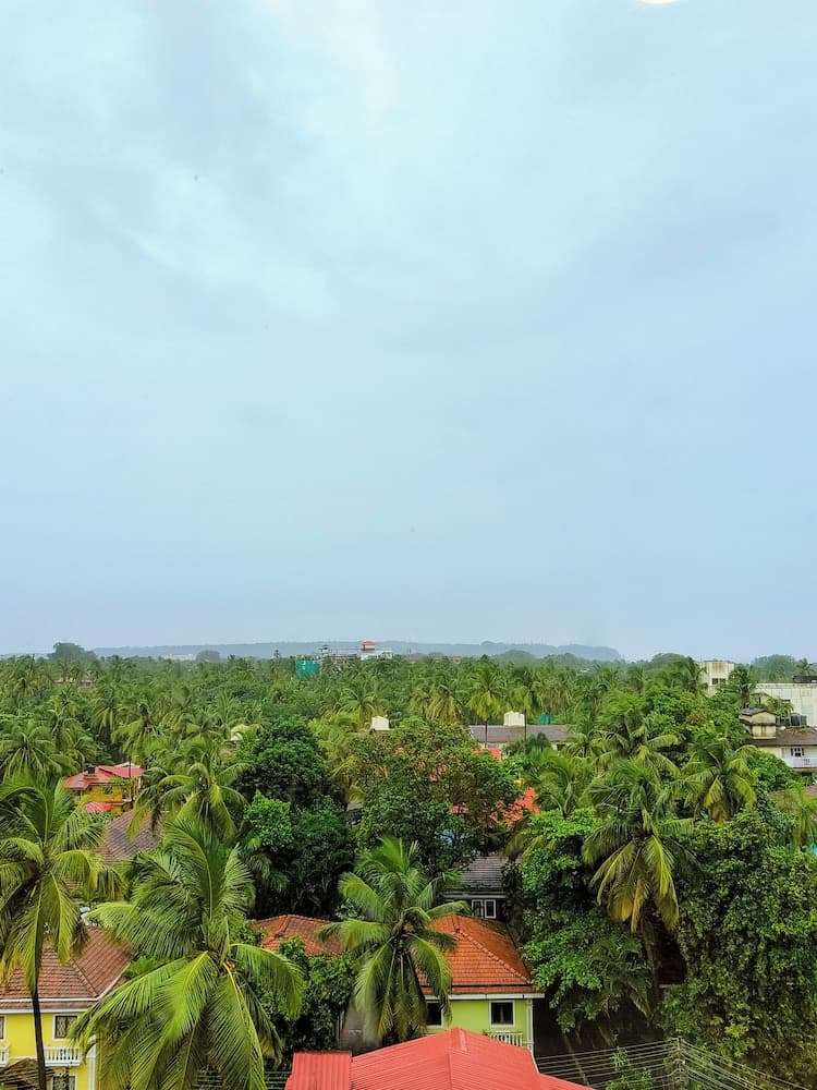 Ginger Goa Candolim — photo 6