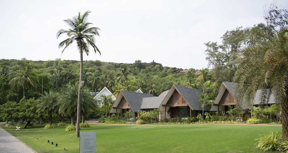 W Goa — photo 54