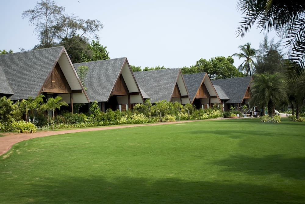 W Goa — photo 50