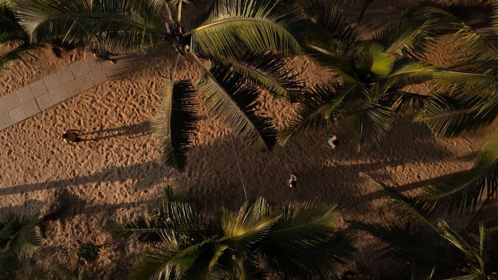 Mandrem Beach Resort, a member of Radisson Individuals Retreat — photo 54
