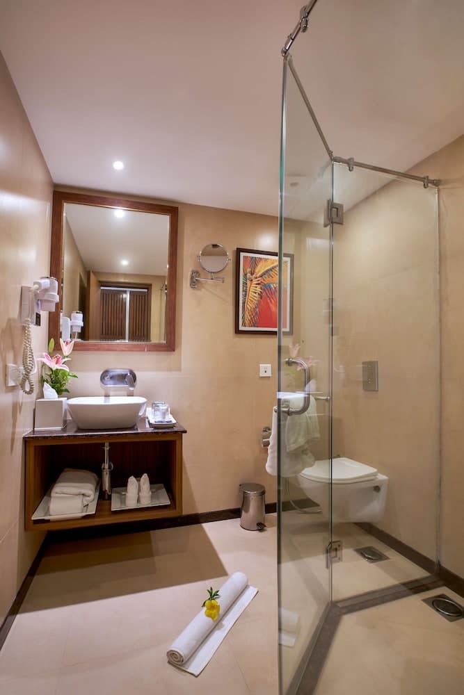 Park Inn by Radisson Goa Candolim — photo 91