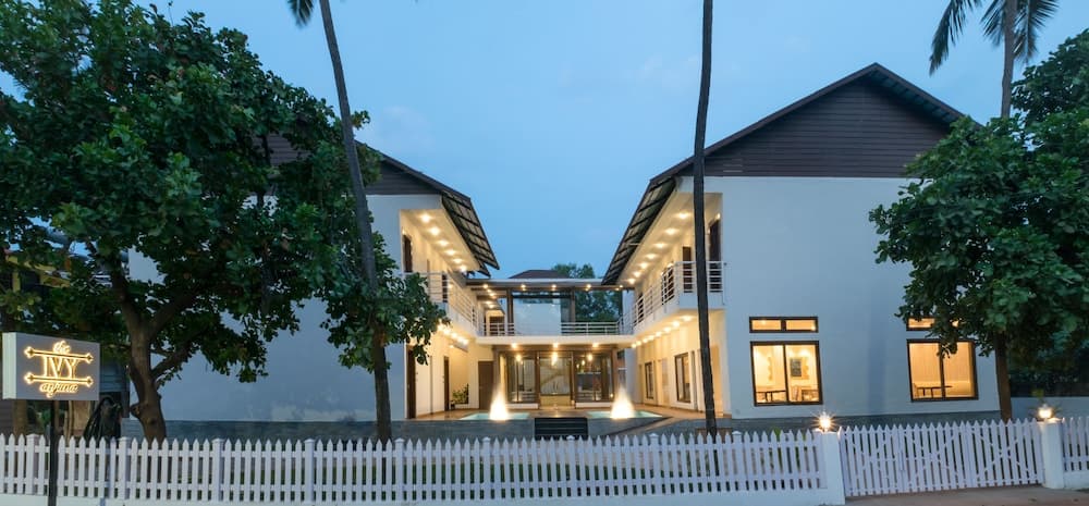 The Ivy Anjuna — photo 10