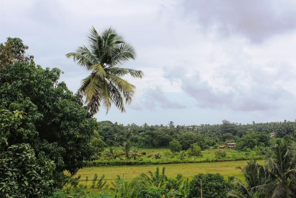 Aastha Escape Resort — photo 23