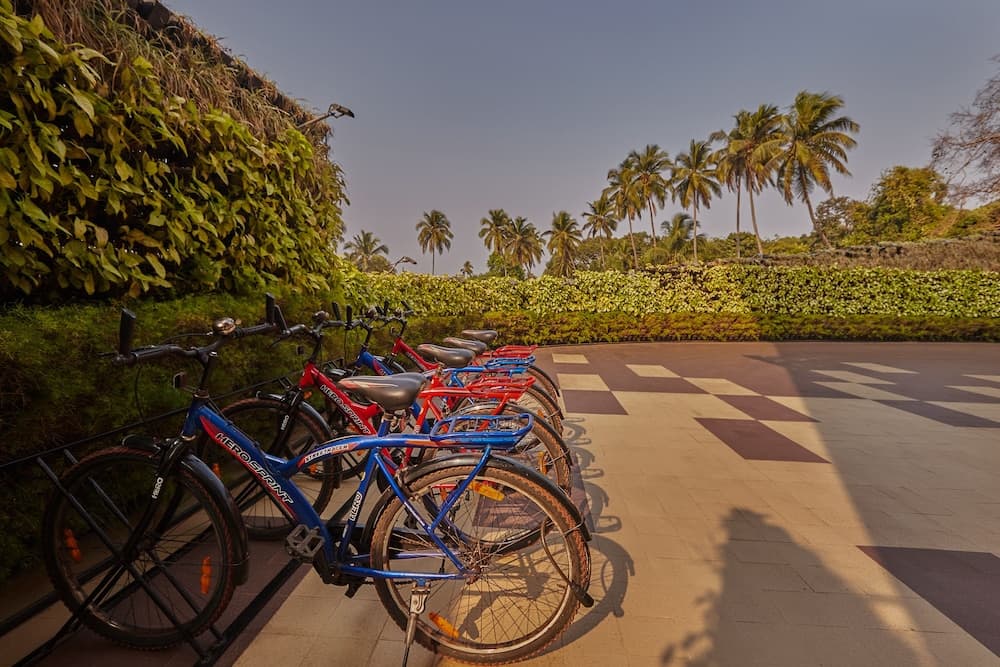 Nanu Resort, Arambol — photo 5