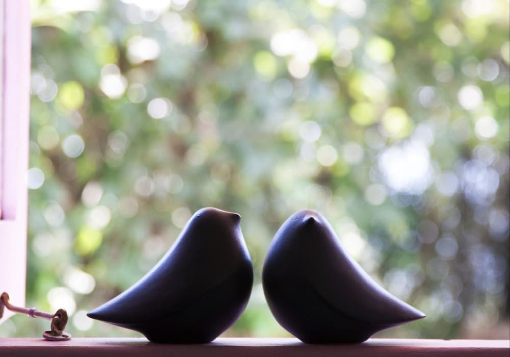 The Postcard Ayurveda Retreat - A Sitaram Ayurveda Experience — photo 39