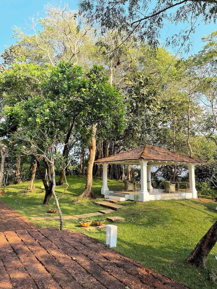 The Postcard Ayurveda Retreat - A Sitaram Ayurveda Experience — photo 55