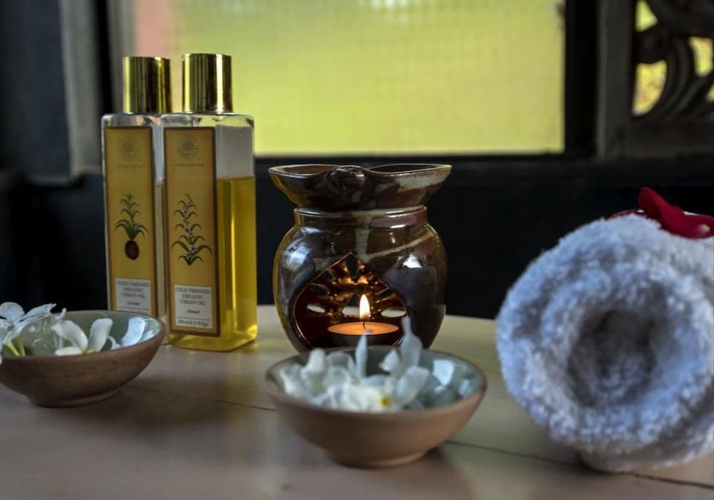 The Postcard Ayurveda Retreat - A Sitaram Ayurveda Experience — photo 23