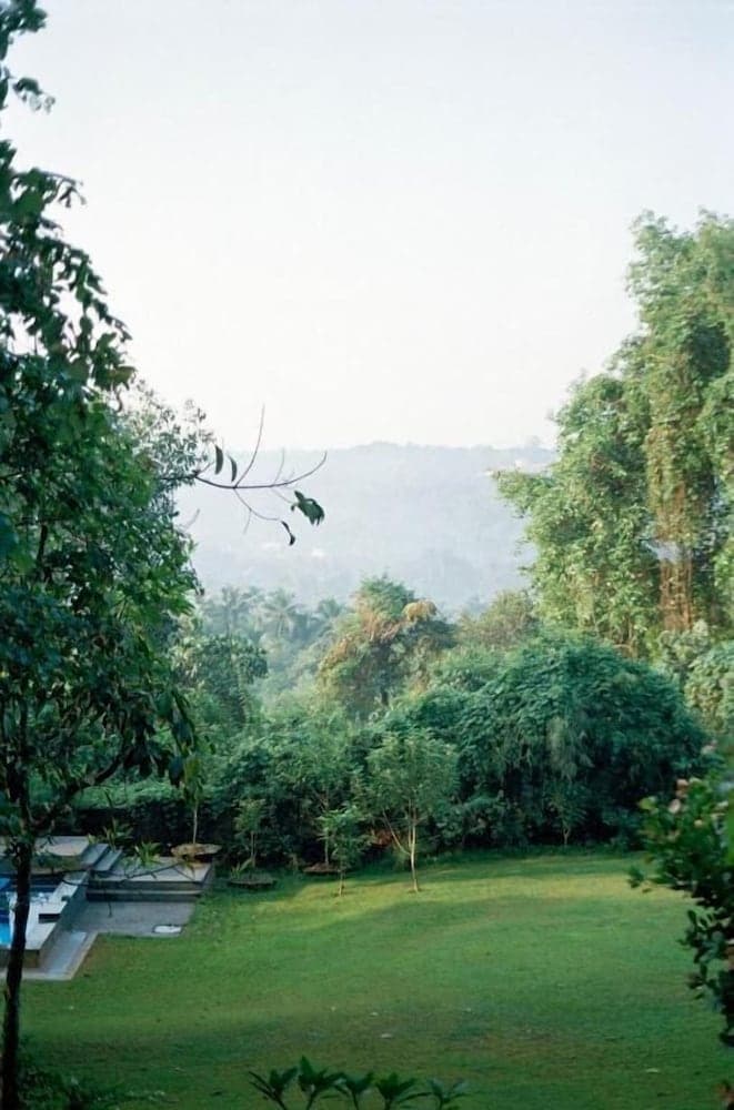 The Postcard Ayurveda Retreat - A Sitaram Ayurveda Experience — photo 76