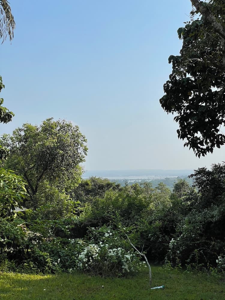 The Postcard Ayurveda Retreat - A Sitaram Ayurveda Experience — photo 85