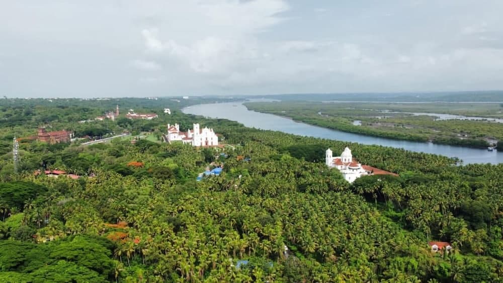The Postcard Ayurveda Retreat - A Sitaram Ayurveda Experience — photo 53