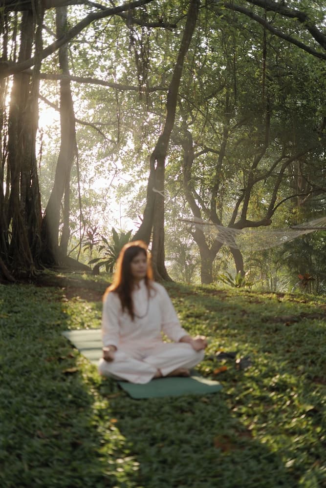 The Postcard Ayurveda Retreat - A Sitaram Ayurveda Experience — photo 17