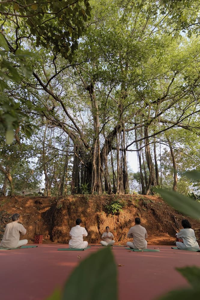 The Postcard Ayurveda Retreat - A Sitaram Ayurveda Experience — photo 15