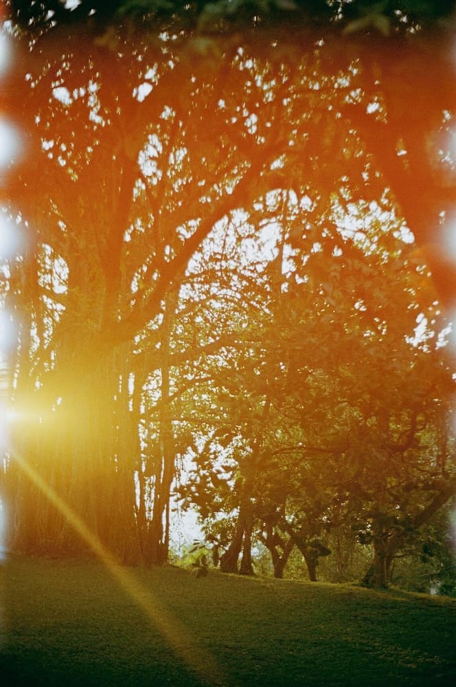 The Postcard Ayurveda Retreat - A Sitaram Ayurveda Experience — photo 84