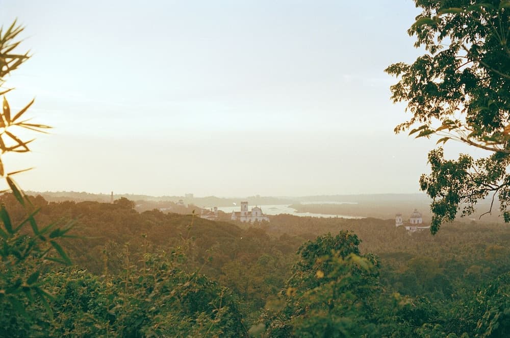 The Postcard Ayurveda Retreat - A Sitaram Ayurveda Experience — photo 59