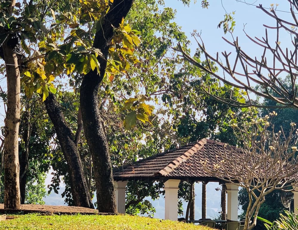 The Postcard Ayurveda Retreat - A Sitaram Ayurveda Experience — photo 48