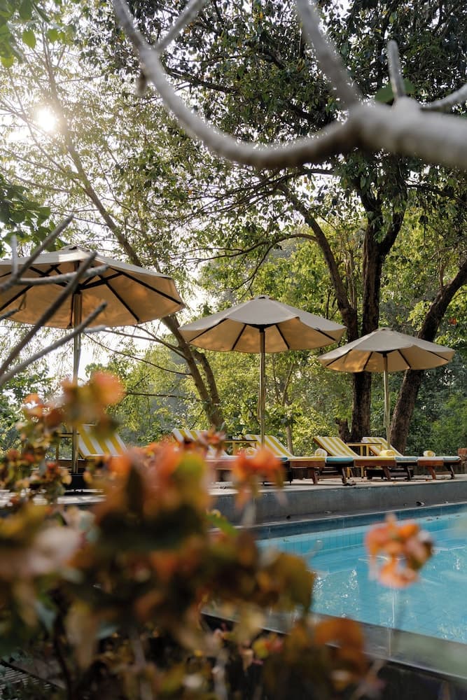 The Postcard Ayurveda Retreat - A Sitaram Ayurveda Experience — photo 11