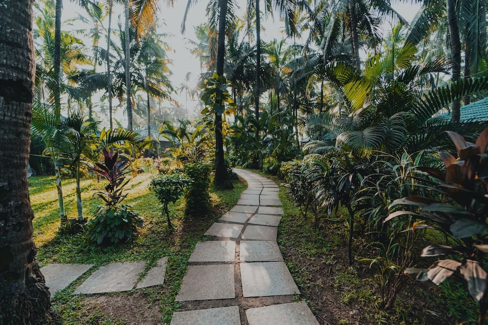 Leela Cottages — photo 43