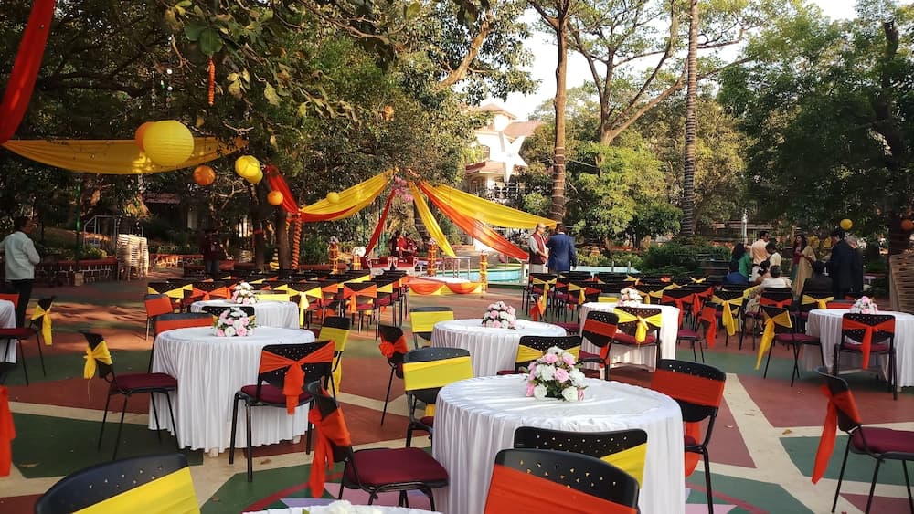 Usha Ascot — photo 20
