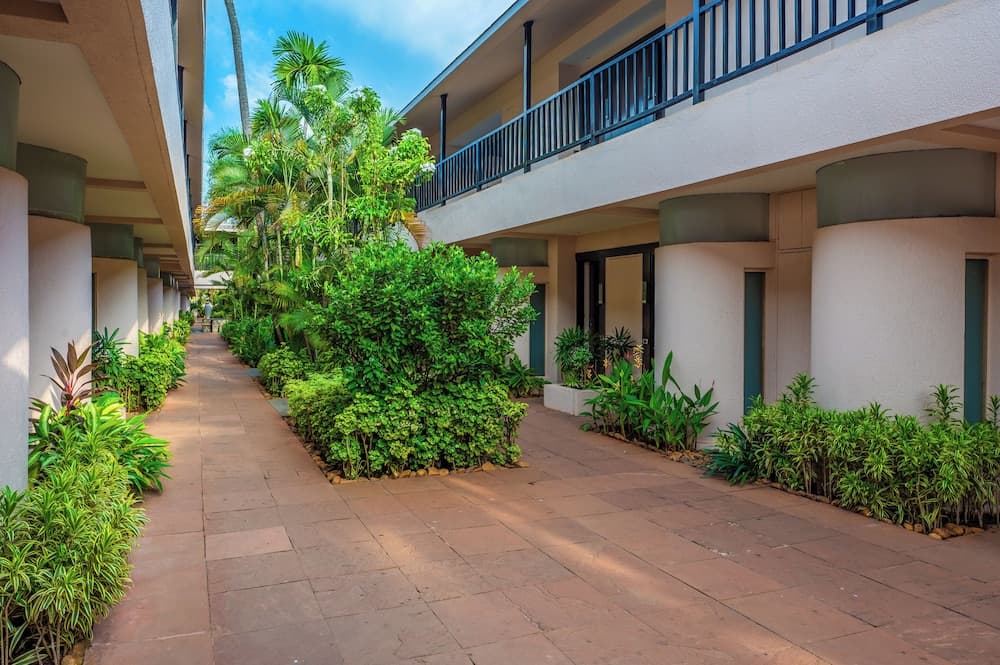 O Hotel Goa, Candolim Beach — photo 146