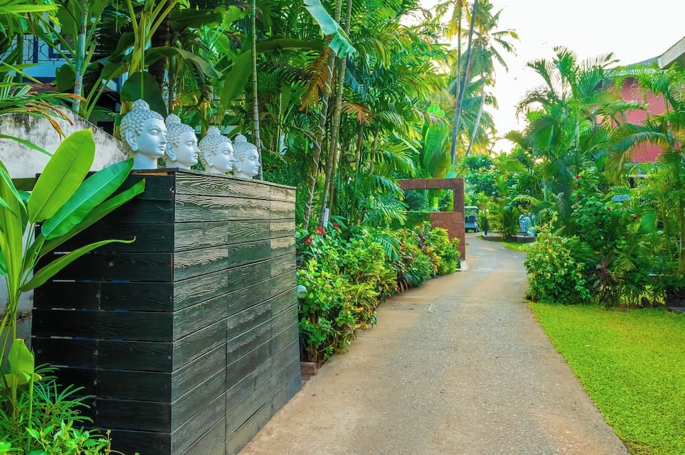 O Hotel Goa, Candolim Beach — photo 131