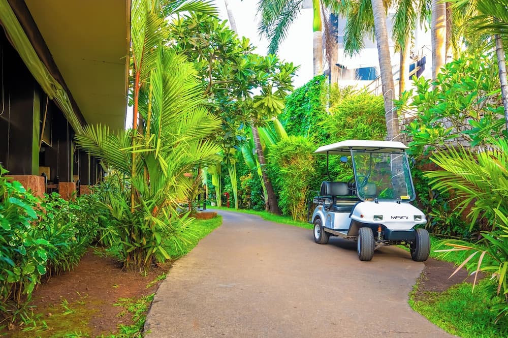 O Hotel Goa, Candolim Beach — photo 132