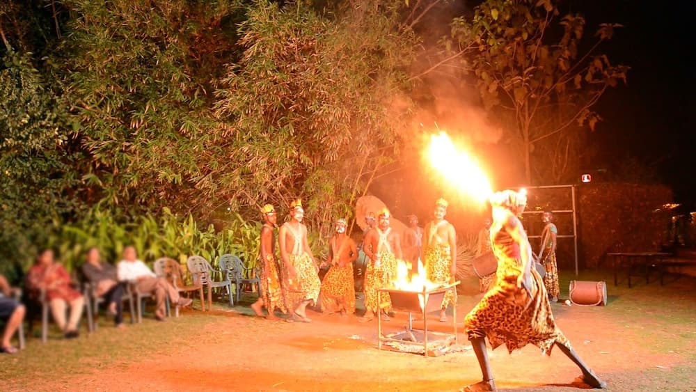 The Fern Gir Forest Resort, Sasan Gir - A Fern Crown Collection Resort — photo 27