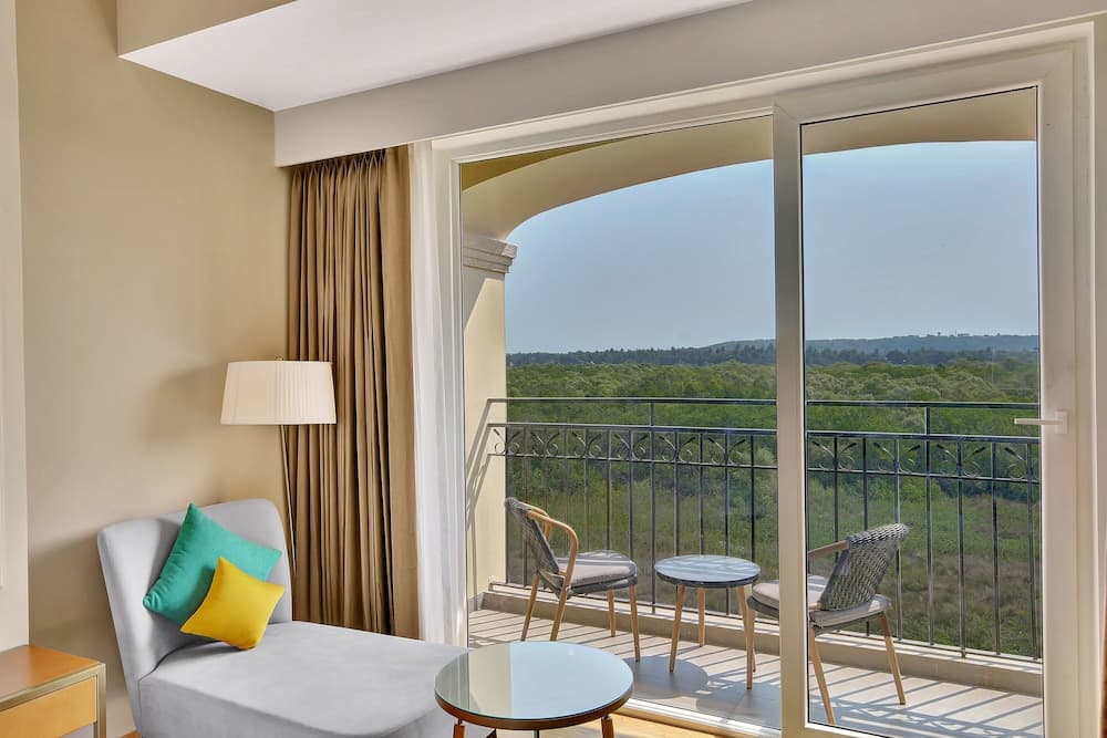 Holiday Inn Goa Candolim by IHG — photo 23
